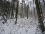 P1000449.jpg