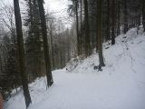 P1000450.jpg