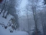 P1000454.jpg