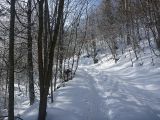 P1000457.jpg