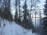 P1000465.jpg