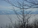 P1000479.jpg