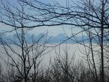 P1000481.jpg