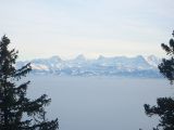 P1000490.jpg