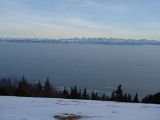 P1000507.jpg
