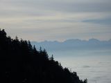 P1000577.jpg