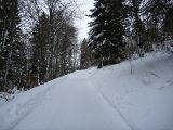 P1000582.jpg