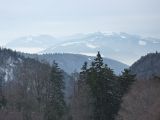 P1000584.jpg
