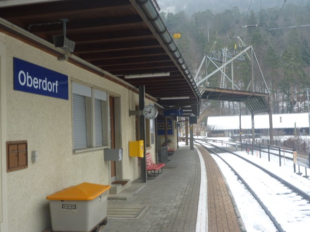 P1000442.jpg