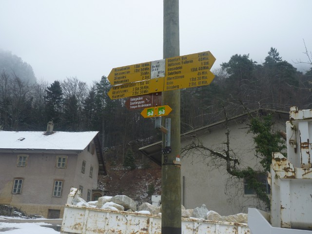 P1000447.jpg