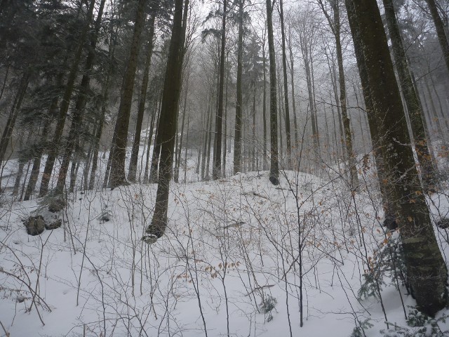 P1000449.jpg