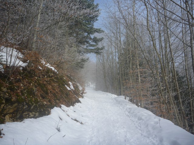 P1000456.jpg