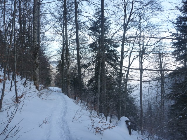 P1000465.jpg