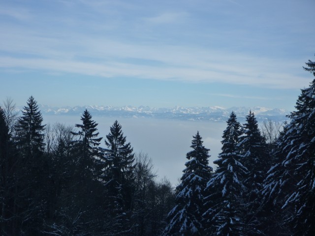 P1000472.jpg