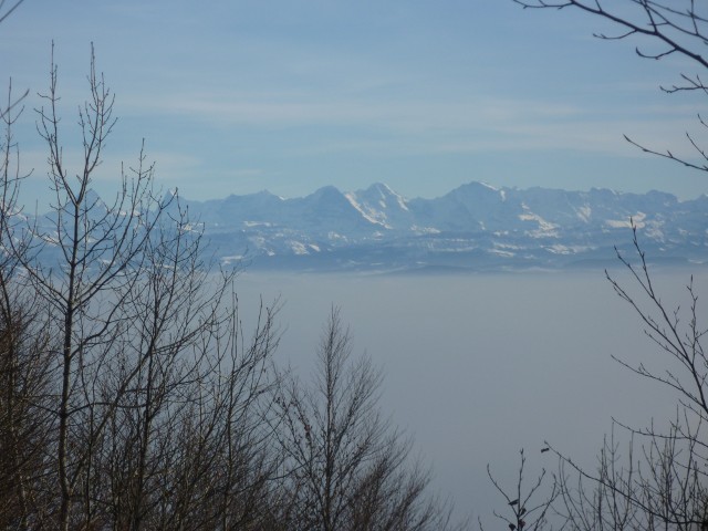 P1000478.jpg
