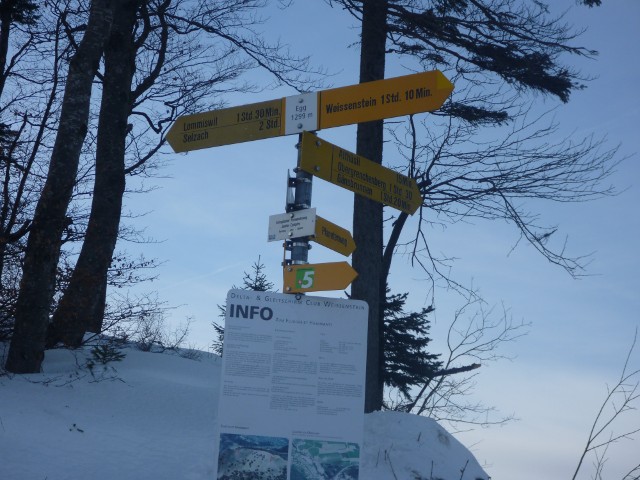 P1000485.jpg