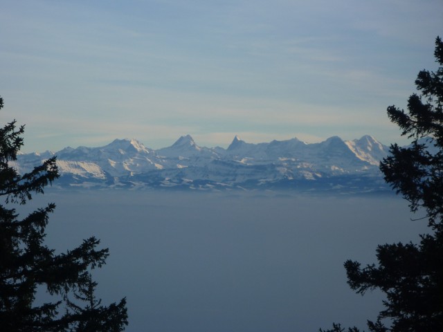 P1000495.jpg