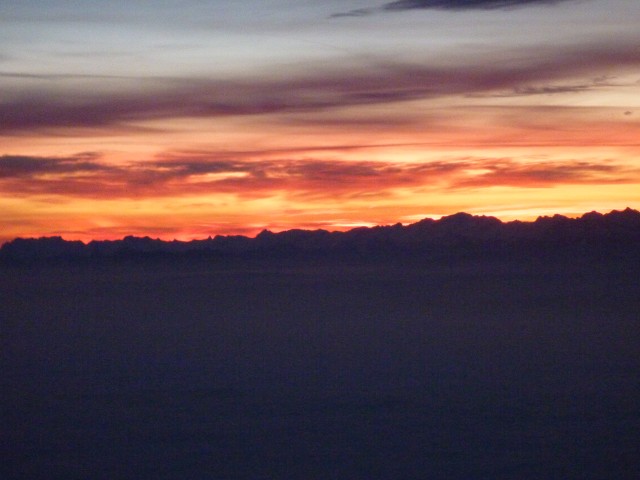 P1000528.jpg