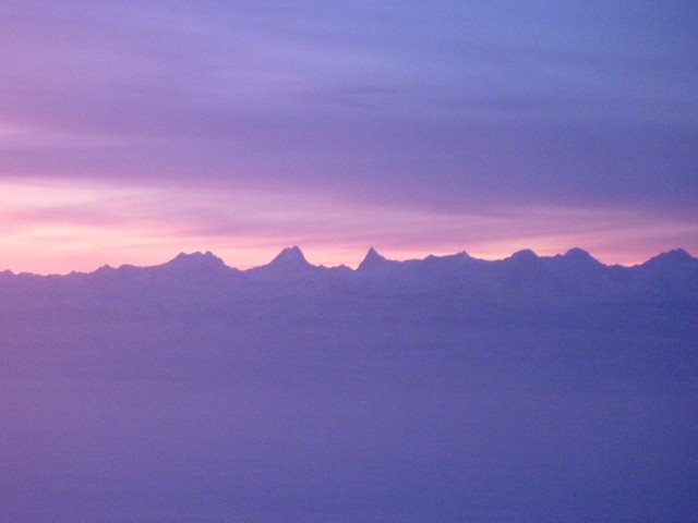 P1000533.jpg
