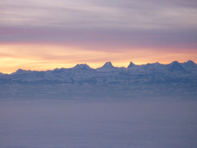 P1000542.jpg