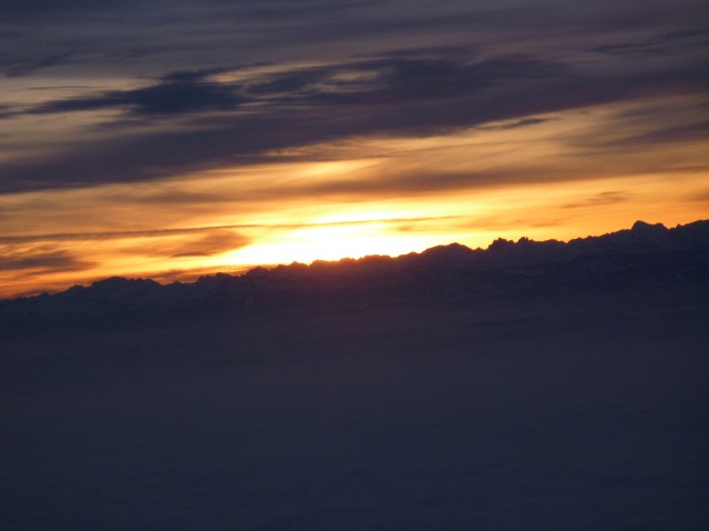 P1000554.jpg