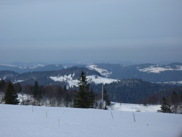 P1000581.jpg