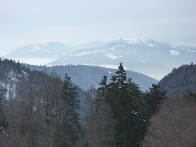 P1000584.jpg
