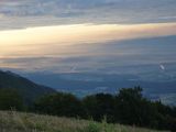 P1000740.jpg