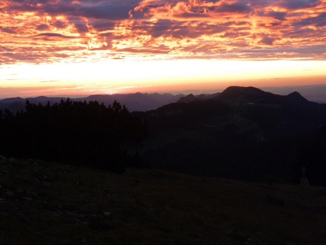 P1000727.jpg