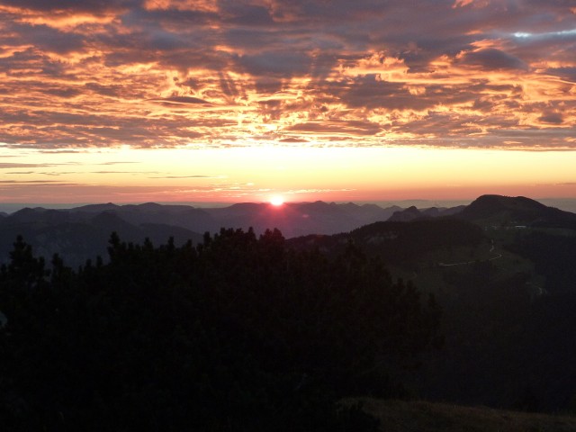 P1000731.jpg