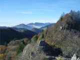 P1000818.jpg