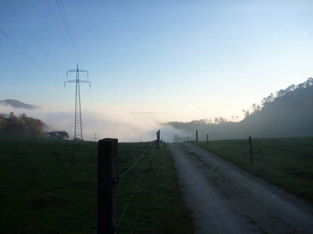 P1000808.jpg