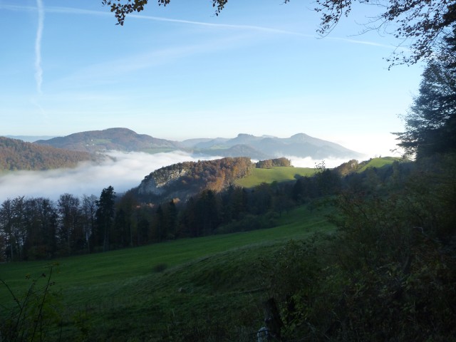 P1000811.jpg