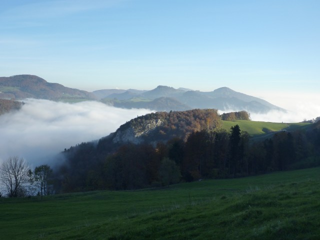 P1000816.jpg