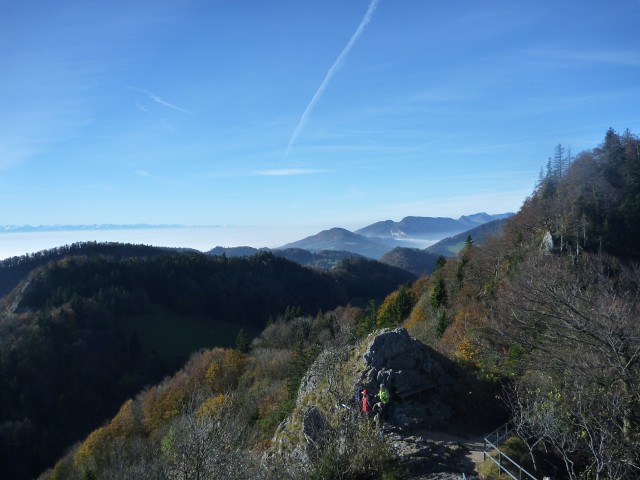 P1000847.jpg