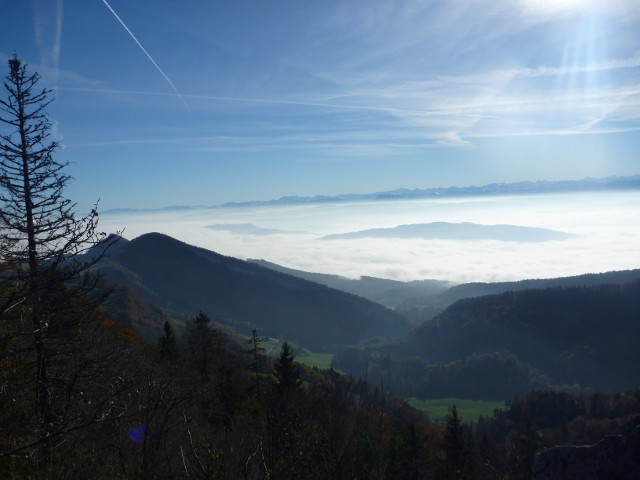 P1000852.jpg