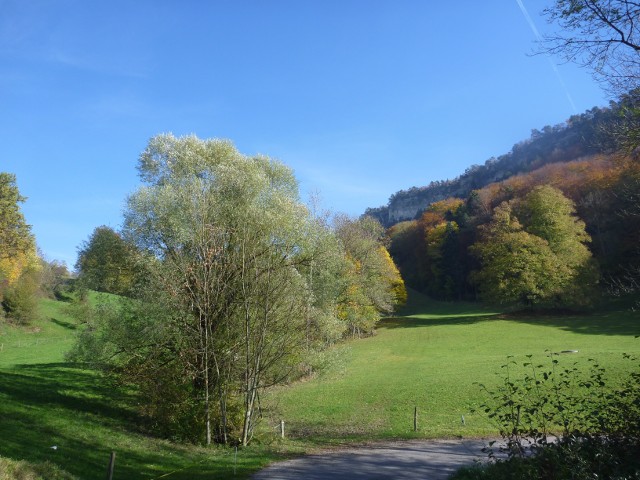 P1000857.jpg