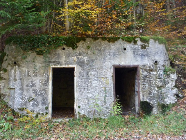 P1000874.jpg