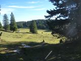 P1010042.jpg