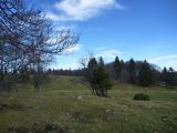 P1010062.jpg