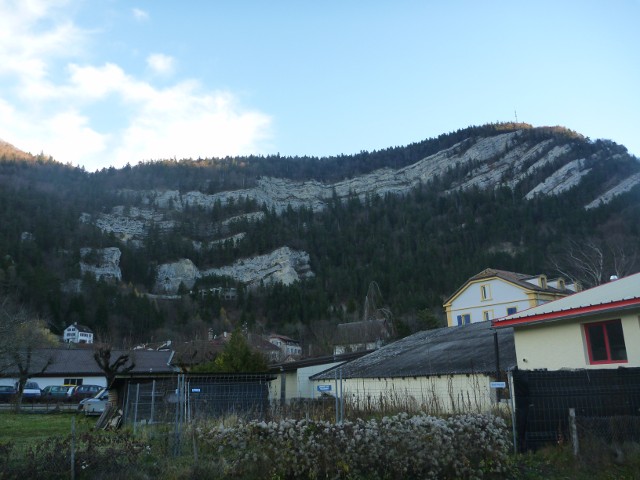P1000967.jpg