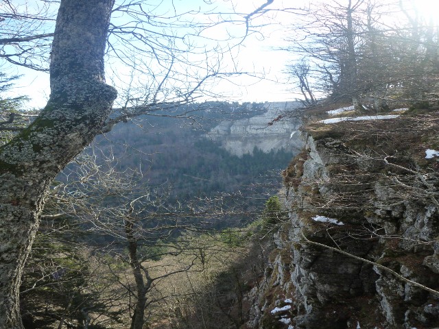 P1000993.jpg
