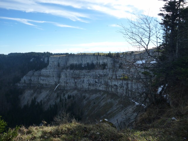 P1010007.jpg