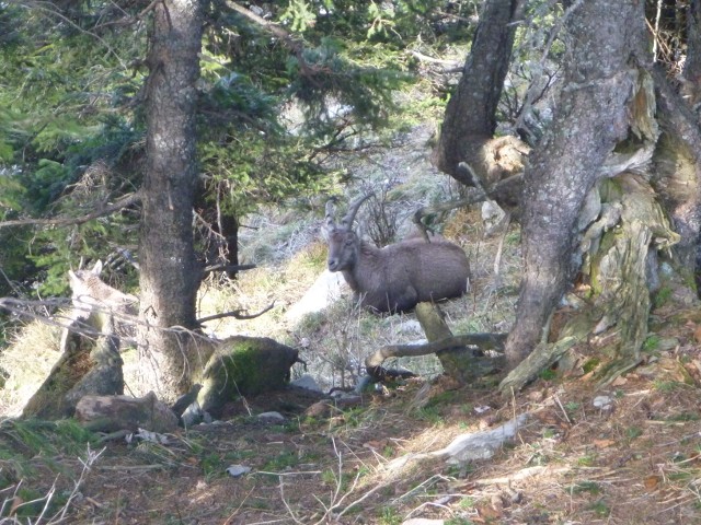 P1010031.jpg