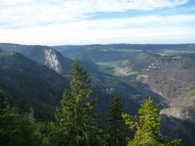 P1010063.jpg