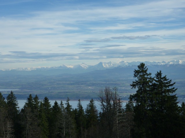 P1010071.jpg