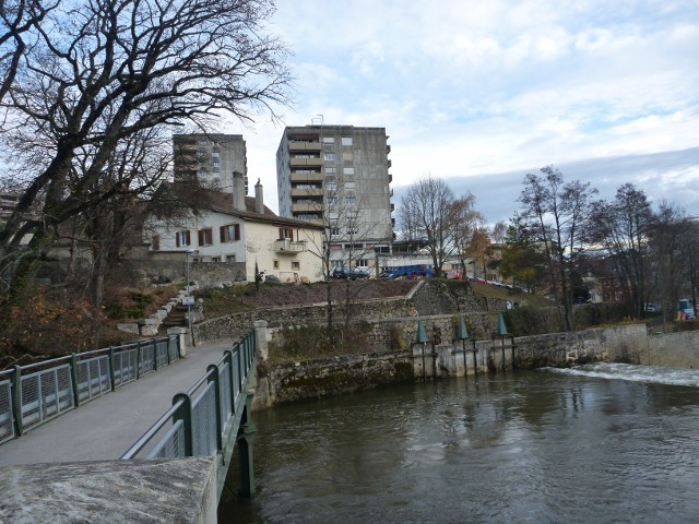 P1010085.jpg