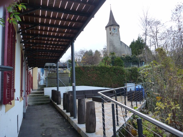 P1010088.jpg