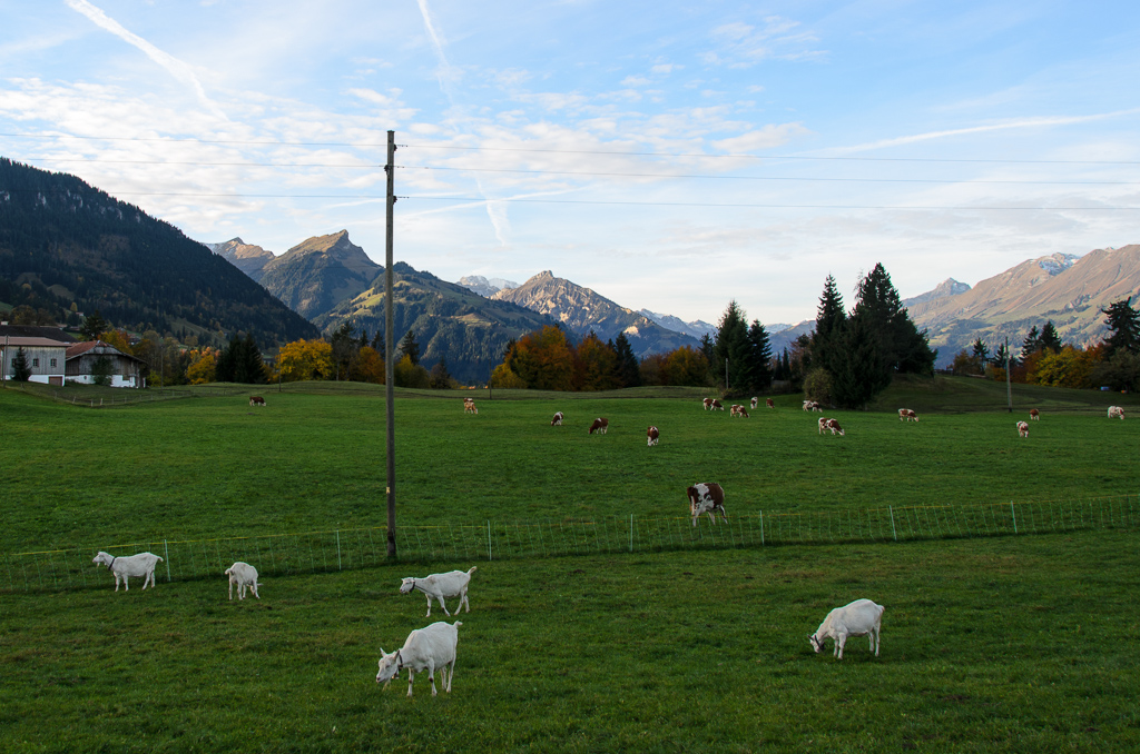 2012-10-20: Wanderung auf die Brunnialp