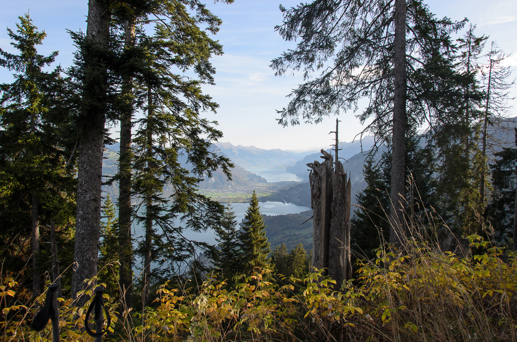 2012-10-20: Wanderung auf die Brunnialp